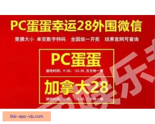 世界杯竞猜胜负玩法全攻略 快速掌握投注技巧赢取丰厚奖金